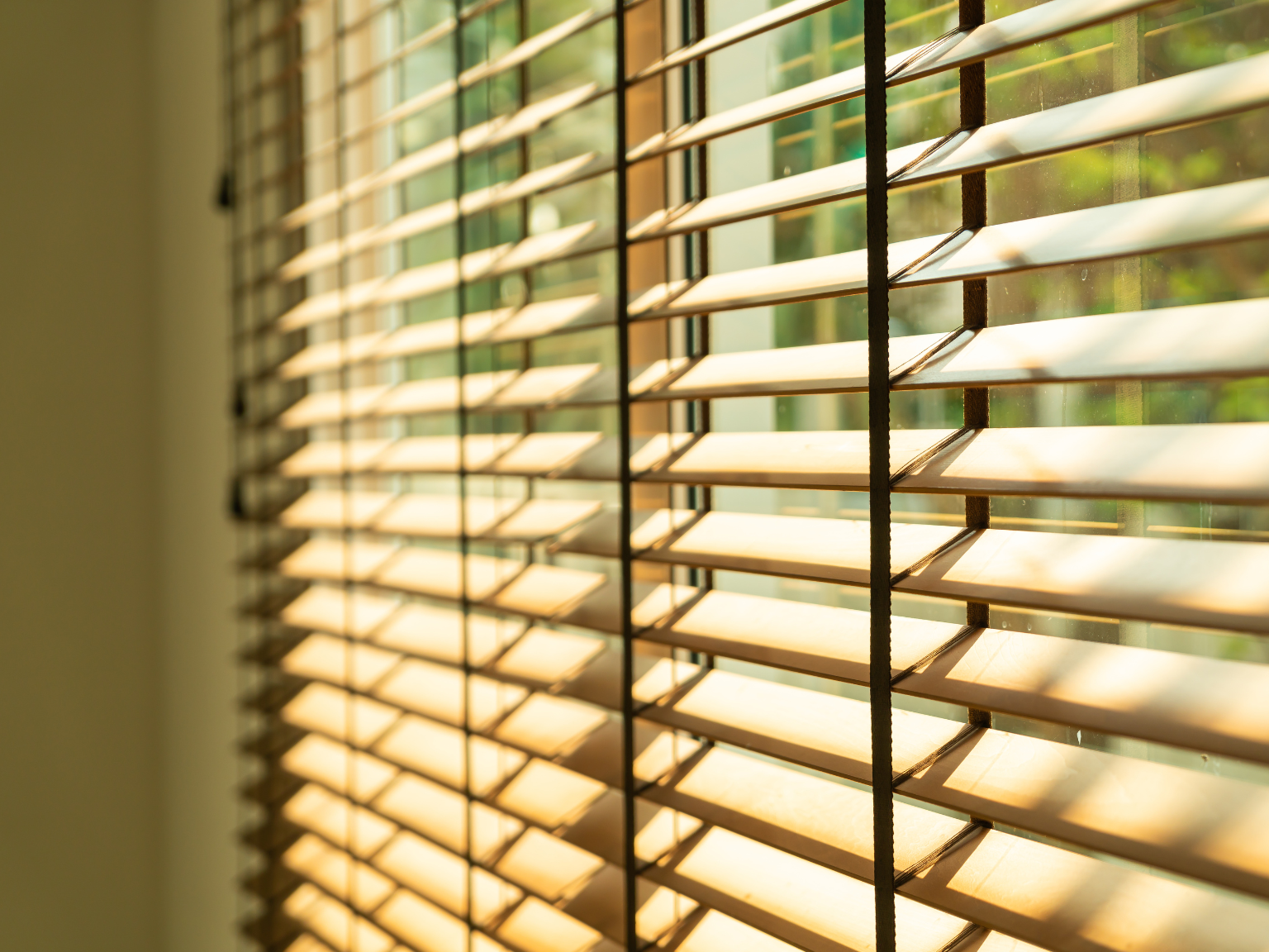 Venetian Blinds