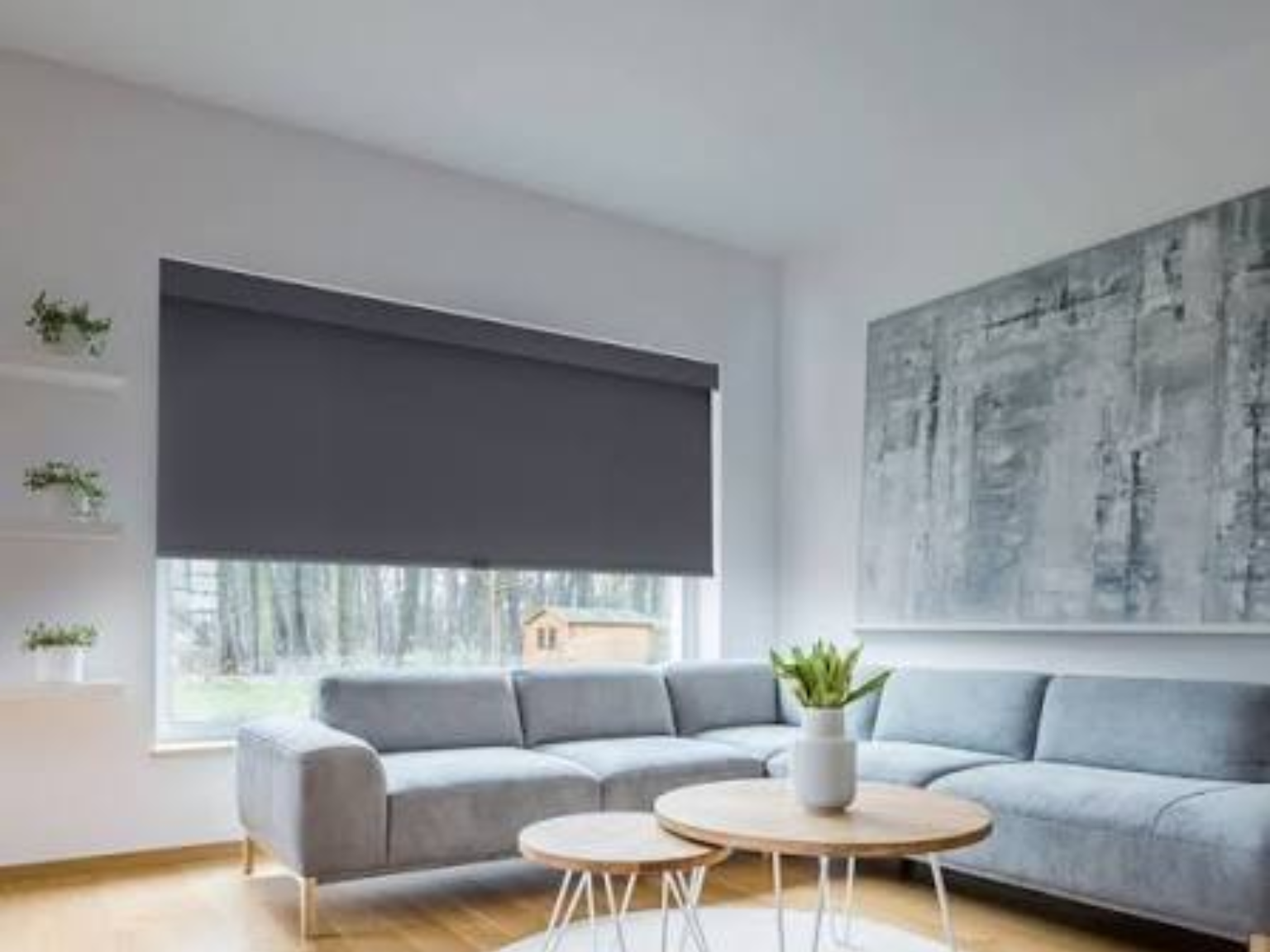 Blackout Roller Blinds